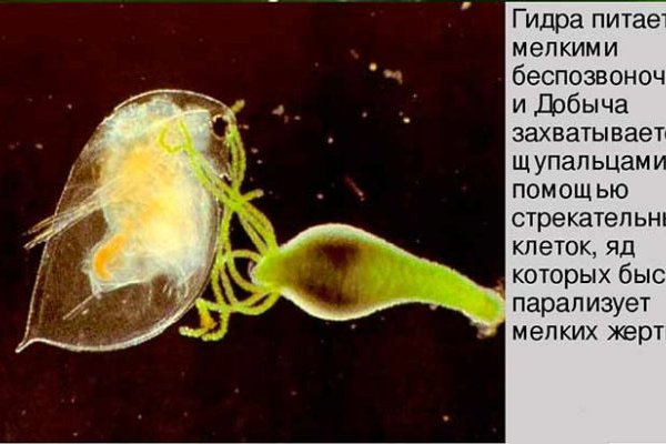 Кракен ориг ссылка