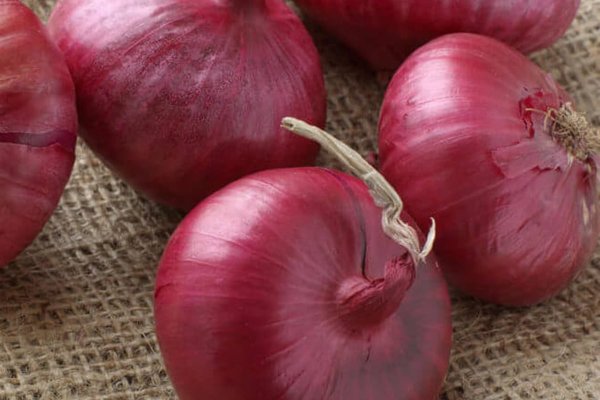Кракен ссылка onion