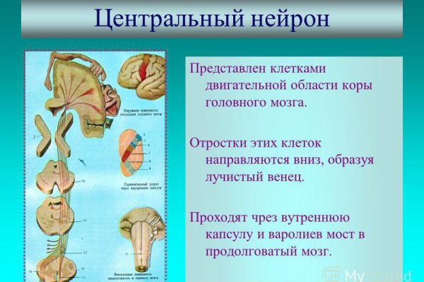 Почему не могу зайти на кракен