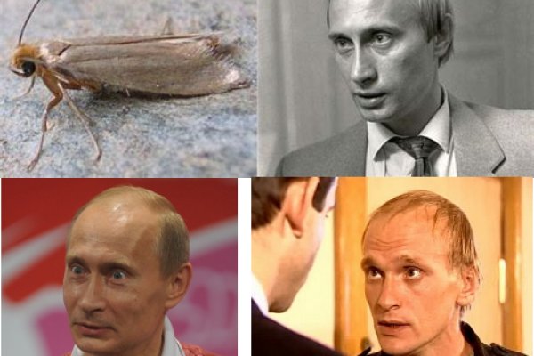 Войти на кракен