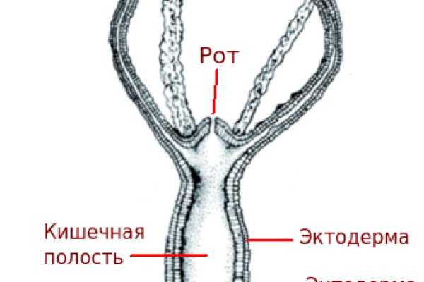 Какая ссылка на кракен